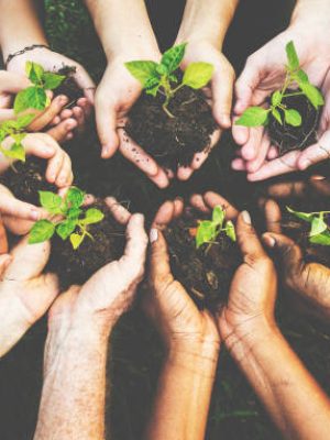 Group of environmental conservation people hands planting in aerial view